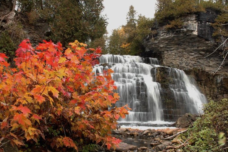 The Arboretum & Administration Centre, Canada